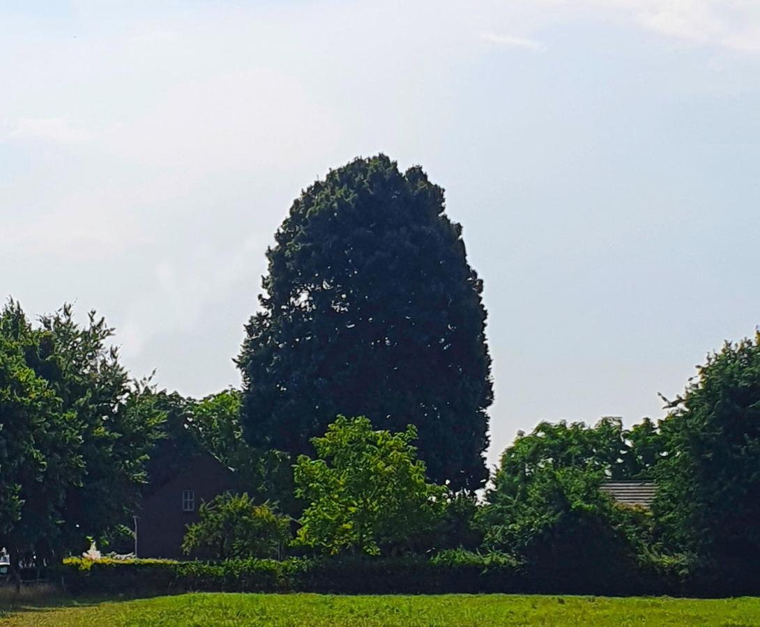 B&B De Nieuwenhof 'De Tuinkamer' Melderslo Exterior foto